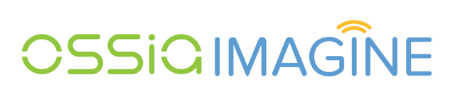 Ossia_Imagine logo_white bkgd